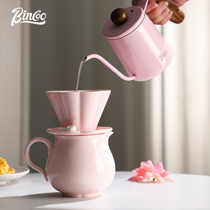 Bincoo-Ceramic Hand Brewing Po - Tea And Coffee Kettle review and price
