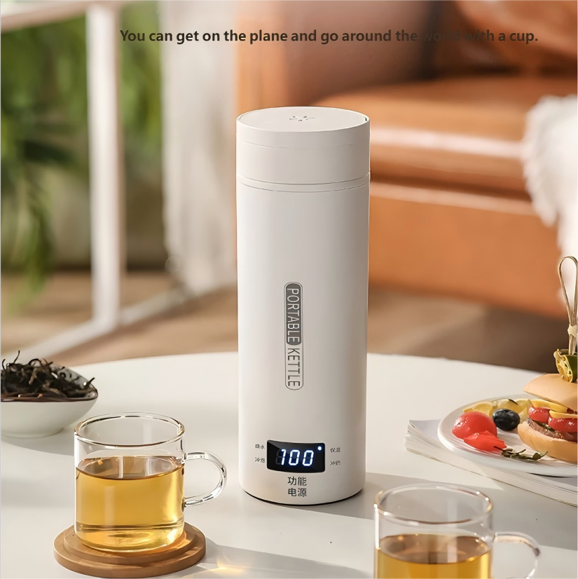 HOMEFISH 450ML Electric Kettle - Coffee Tea Menu review and price