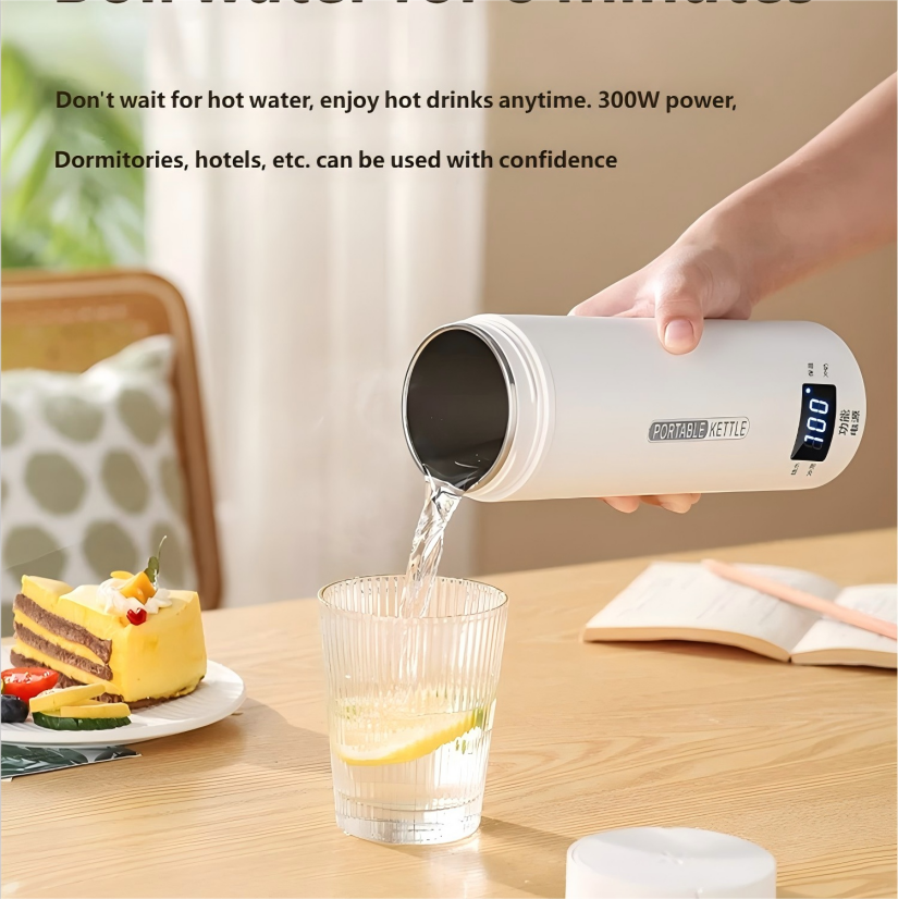 HOMEFISH 450ML Electric Kettle - Coffee Tea Menu review and price