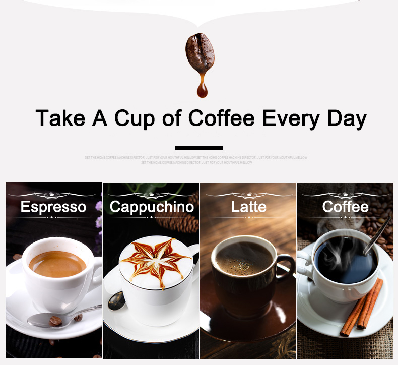 230/110V 1300W 4 Languages Esp - Coffee & Tea Difabis review and price