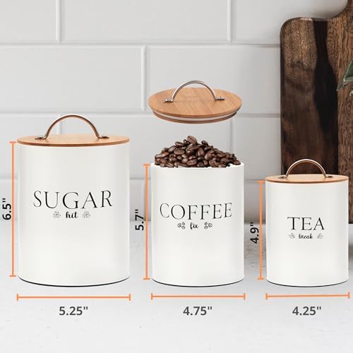 D'Lifeful 3PC Airtight Tea Cof - Coffee Tea Sugar Container Set review and price