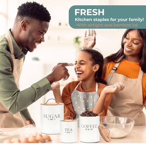 D'Lifeful 3PC Airtight Tea Cof - Coffee Tea Sugar Container Set review and price