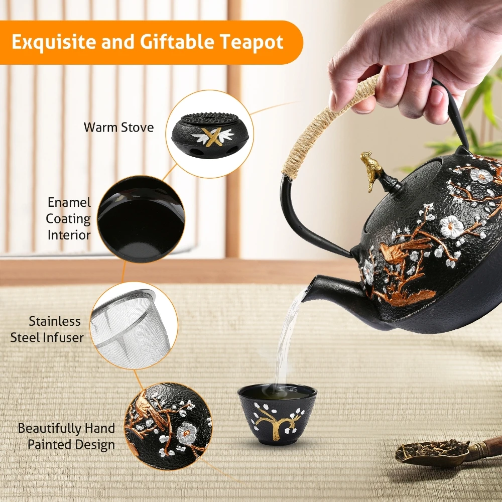 Cast Iron Teapot Set with Alco - Cast Iron Teapot review and price