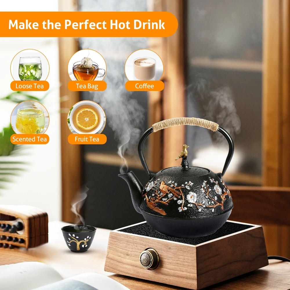 Cast Iron Teapot Set with Alco - Cast Iron Teapot review and price