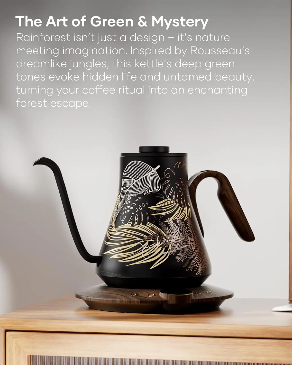 FLOW B9 Gooseneck Electric Ket - Tea And Coffee Kettle review and price