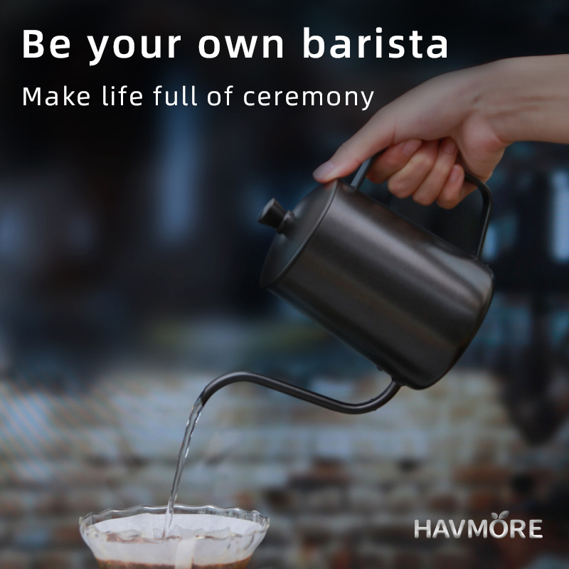 HAVMORE 304 Stainless Steel Te - Tea And Coffee Kettle review and price