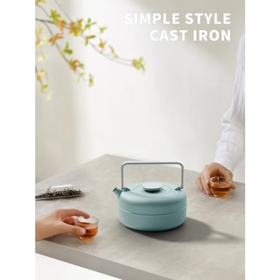 Teapot with Removable Infuser  - Cast Iron Teapot review and price